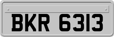 BKR6313