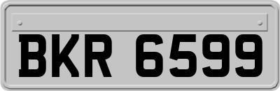BKR6599