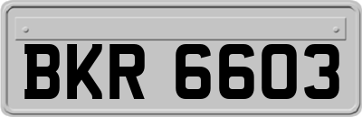 BKR6603