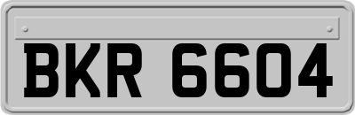 BKR6604