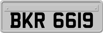 BKR6619