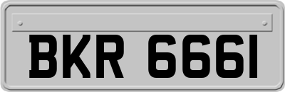 BKR6661