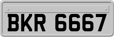 BKR6667