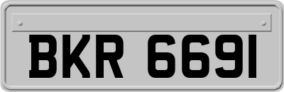 BKR6691