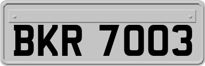 BKR7003