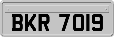 BKR7019