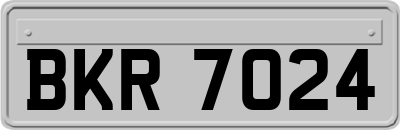 BKR7024
