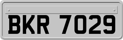 BKR7029