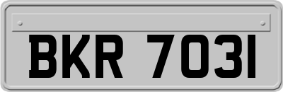 BKR7031