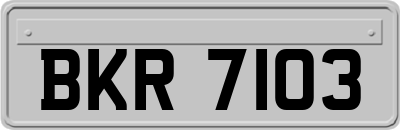 BKR7103