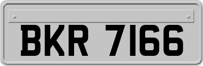 BKR7166