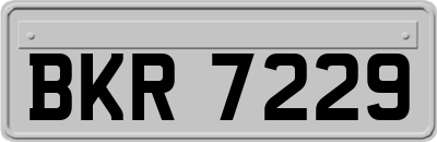 BKR7229