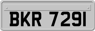 BKR7291