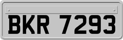 BKR7293