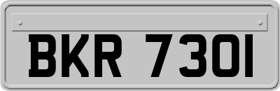 BKR7301