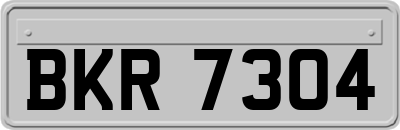 BKR7304