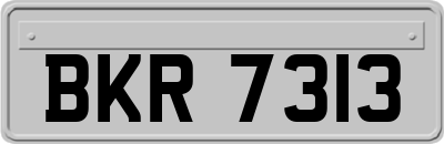 BKR7313