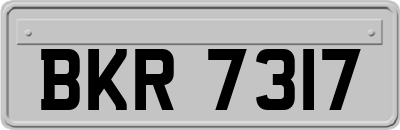 BKR7317