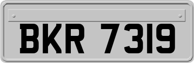 BKR7319