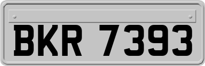 BKR7393
