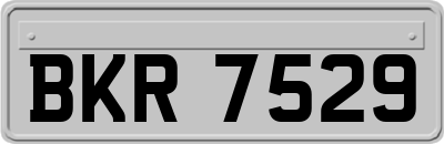 BKR7529