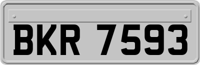 BKR7593