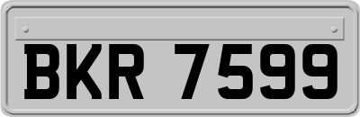 BKR7599
