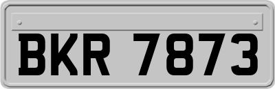 BKR7873