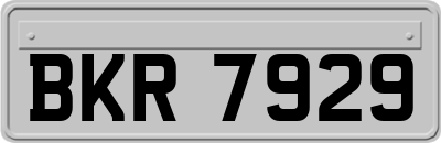 BKR7929