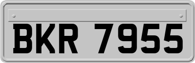 BKR7955