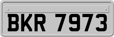 BKR7973
