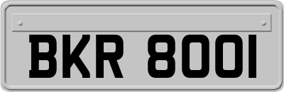 BKR8001