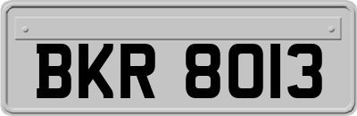BKR8013