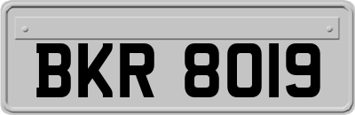 BKR8019