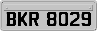 BKR8029
