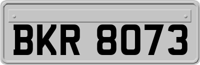 BKR8073