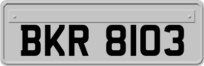 BKR8103