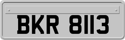 BKR8113
