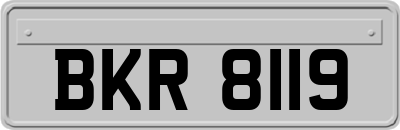 BKR8119