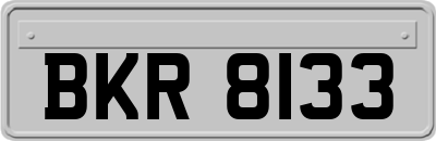 BKR8133
