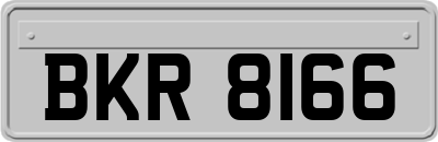 BKR8166