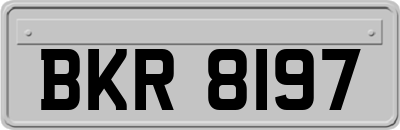 BKR8197
