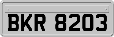 BKR8203