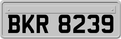 BKR8239