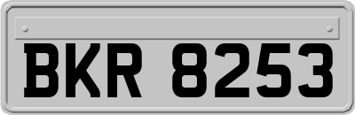 BKR8253