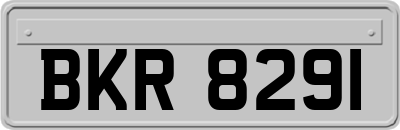 BKR8291