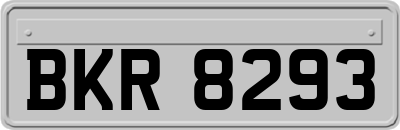 BKR8293