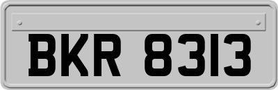 BKR8313