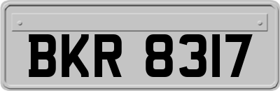 BKR8317