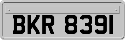 BKR8391